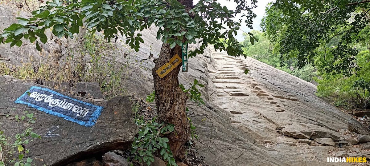 Markings on the boulder-Sathuragiri Hill Trek-Indiahikes-Treks in Tamilnadu 