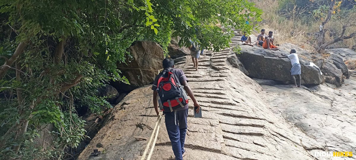 Concrete path-Sathuragiri Hill Trek-Indiahikes- Treks in Tamilnadu 