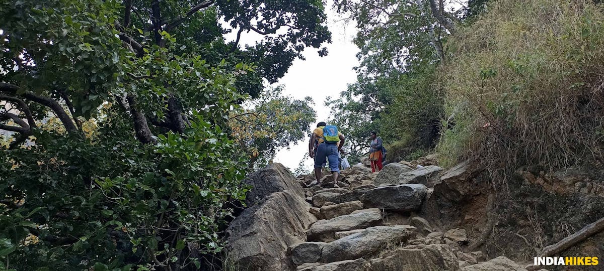 Steep rocky section-Sathuragiri Hill Trek-Indiahikes-Treks in tamilnadu 