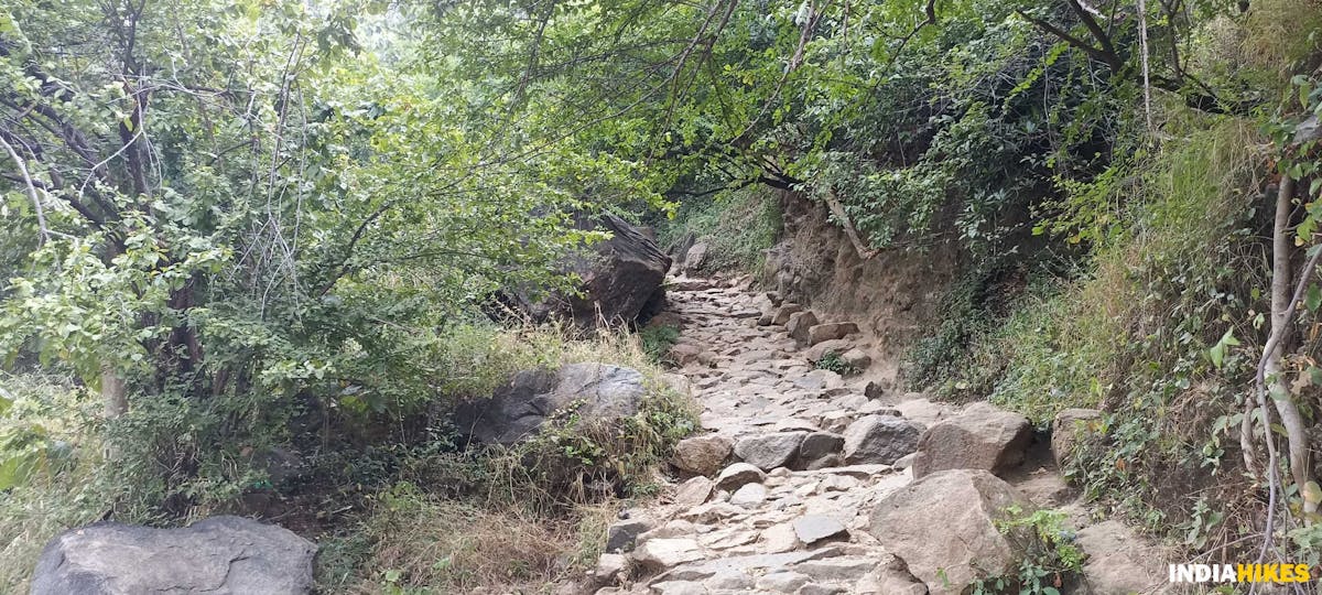 Narrow trail-Sathuragiri Hill Trek-Indiahikes-Ajay Vignesh