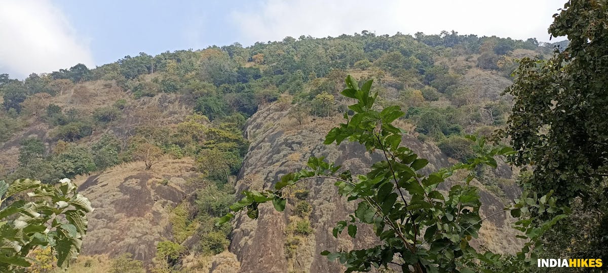 View from Sathuragiri river-Sathuragiri Hill Trek-Indiahikes-Ajay Vignesh