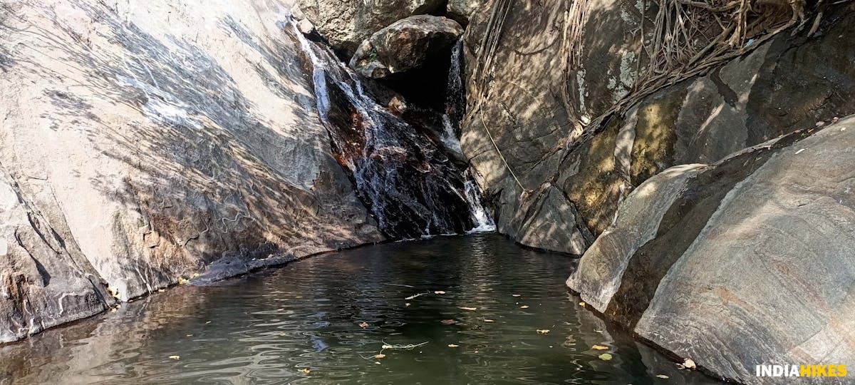 Hidden waterfall-Sathuragiri Hill Trek-Indiahikes-Treks in Tamilnadu 