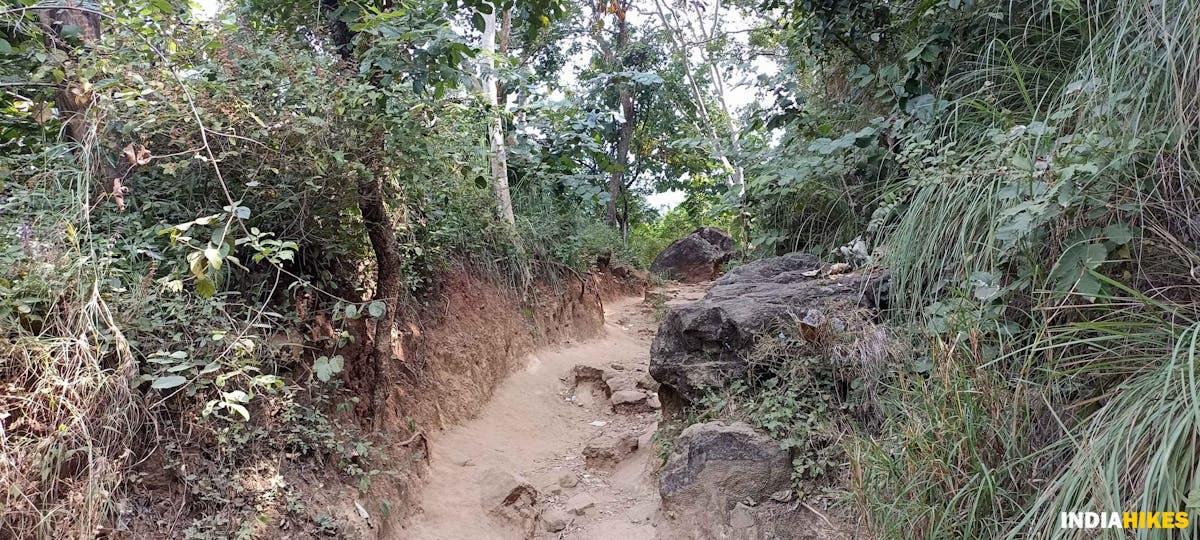 Narrow mud road-Sathuragiri Hill Trek-Indiahikes- Treks in Tamilnadu 