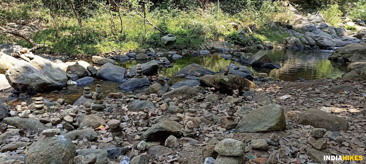 Rocky trail-Sathuragiri Hill Trek-Indiahikes-Treks in Tamilnadu 