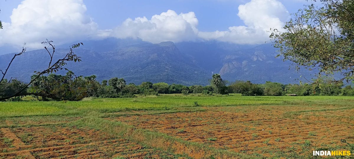 Farm land - Athri Hill Trek - Indiahikes - Ajay Vignesh