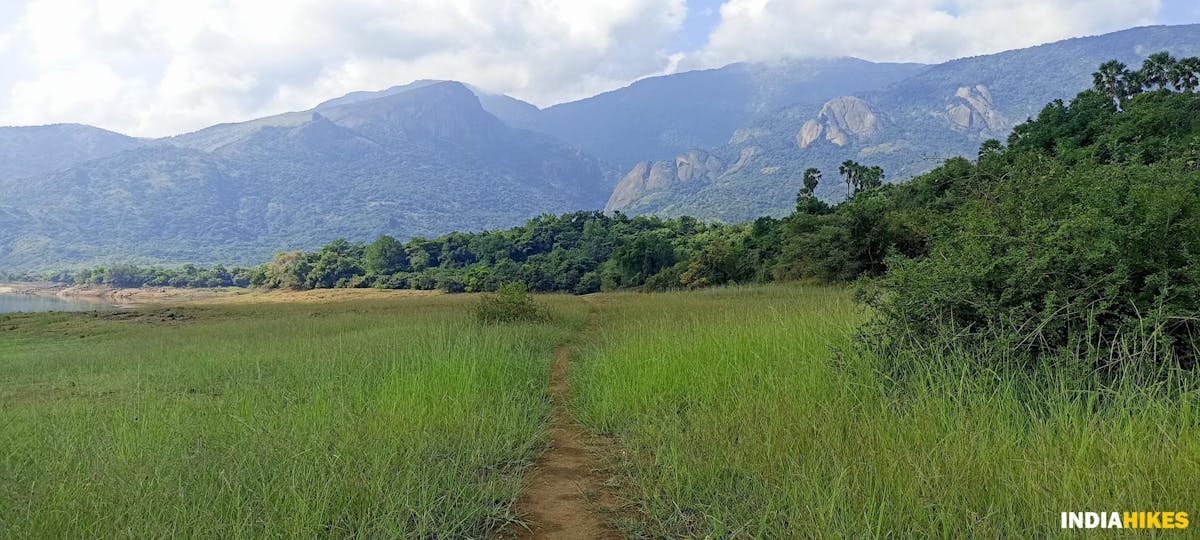 Grassland - Athri Hill Trek - Indiahikes - Ajay Vignesh