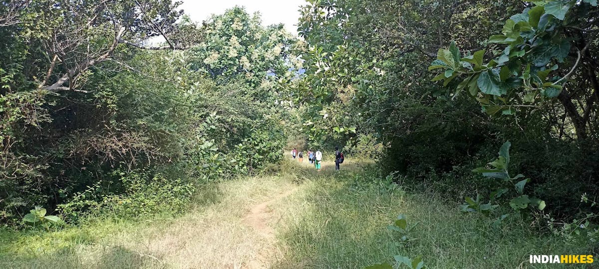 Lush surroundings - Athri Hill Trek - Indiahikes - Ajay Vignesh