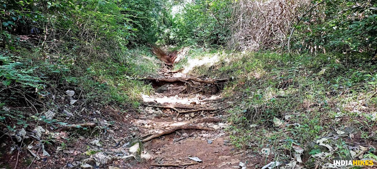 Mud route - Athri Hill Trek - Indiahikes - Ajay Vignesh