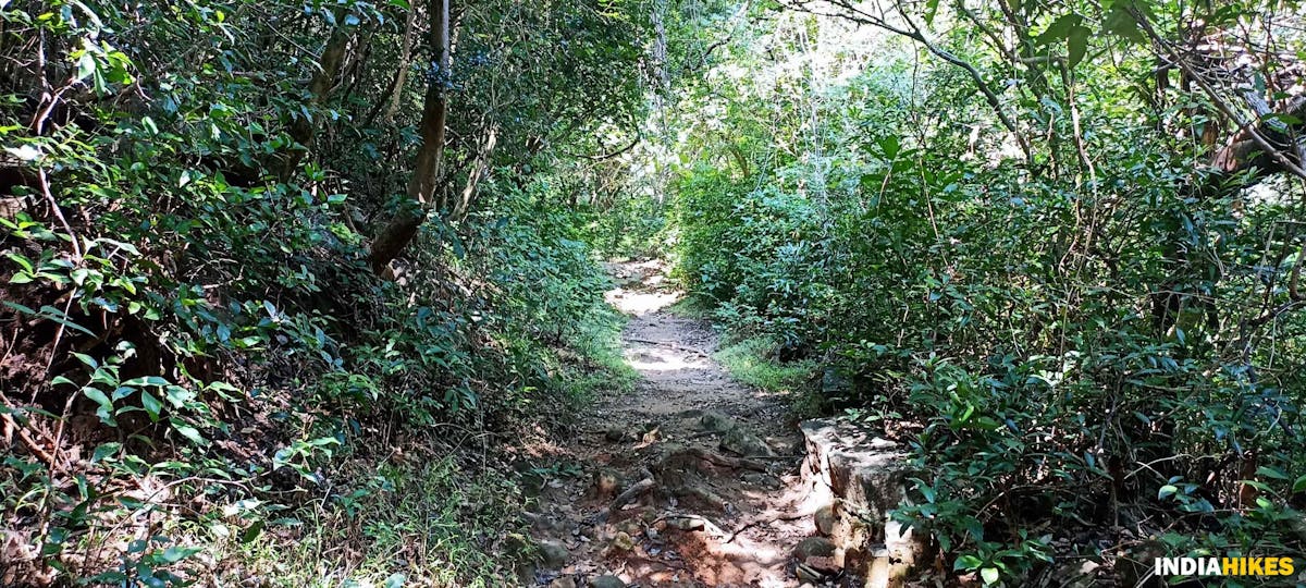 Narrow path - Athri Hill Trek - Indiahikes - Ajay Vignesh