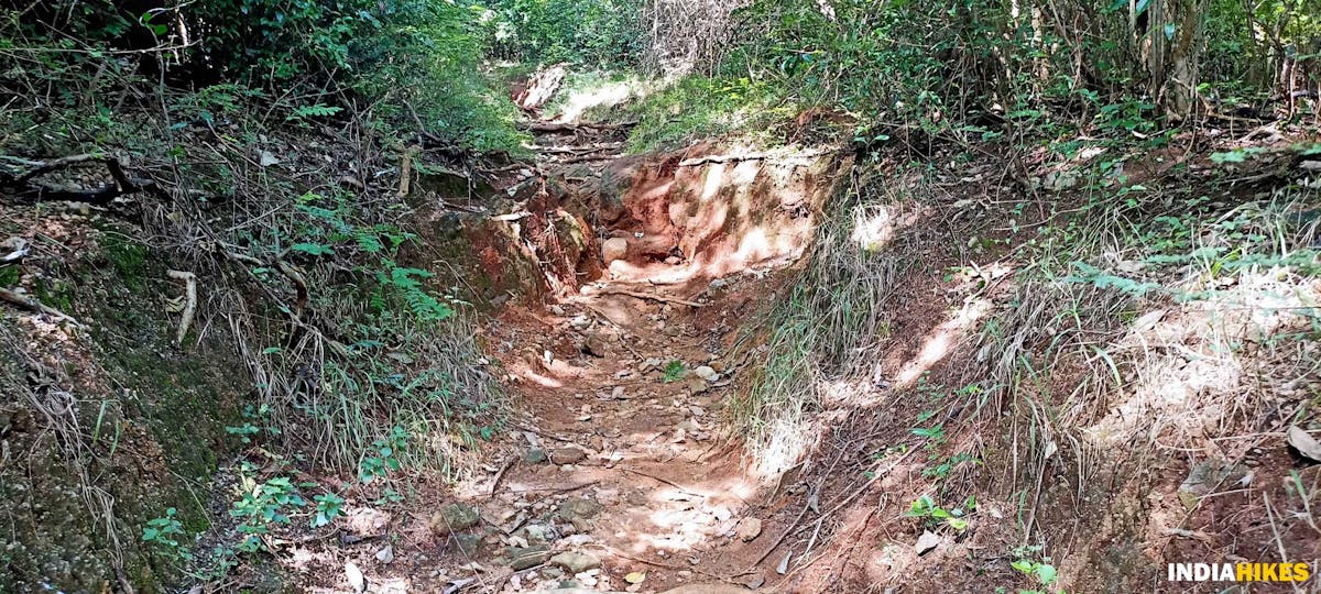 Reddish mud path - Athri Hill Trek - Indiahikes - Ajay Vignesh