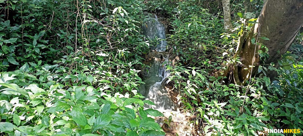 Water stream - Athri Hill Trek - Indiahikes - Ajay Vignesh