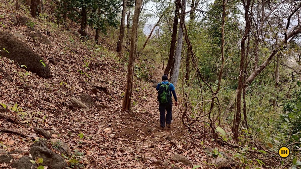 Takmak-fort-trek-Forest-walk-Indiahikes-Saini-Krishnamurthy
