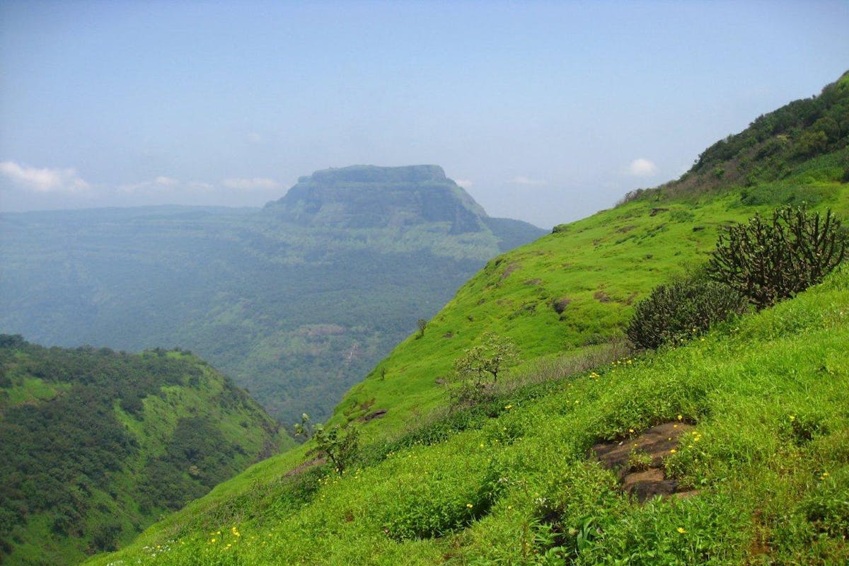 Dhak plateau, Lonavala-Bhimashankar trek, treks near Pune, treks in Maharashtra, Sahyadri treks, Indiahikes