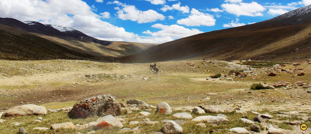 Markha valley trek. Indiahikes . treks in ladakh