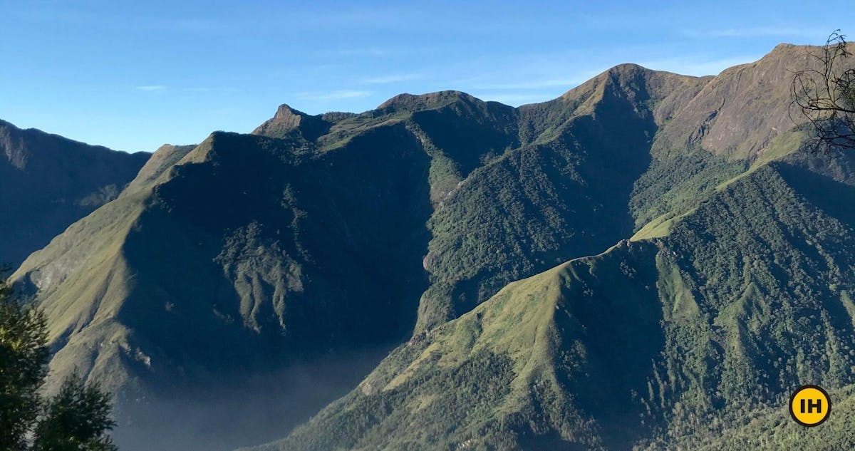 Hills of Munnar-Munnar Top Station Sunrise Trek-Indiahikes