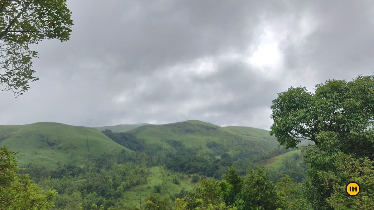 Kurinjal-Peak-Trek-Rolling-green-hills-Indiahikes-Kudremukh