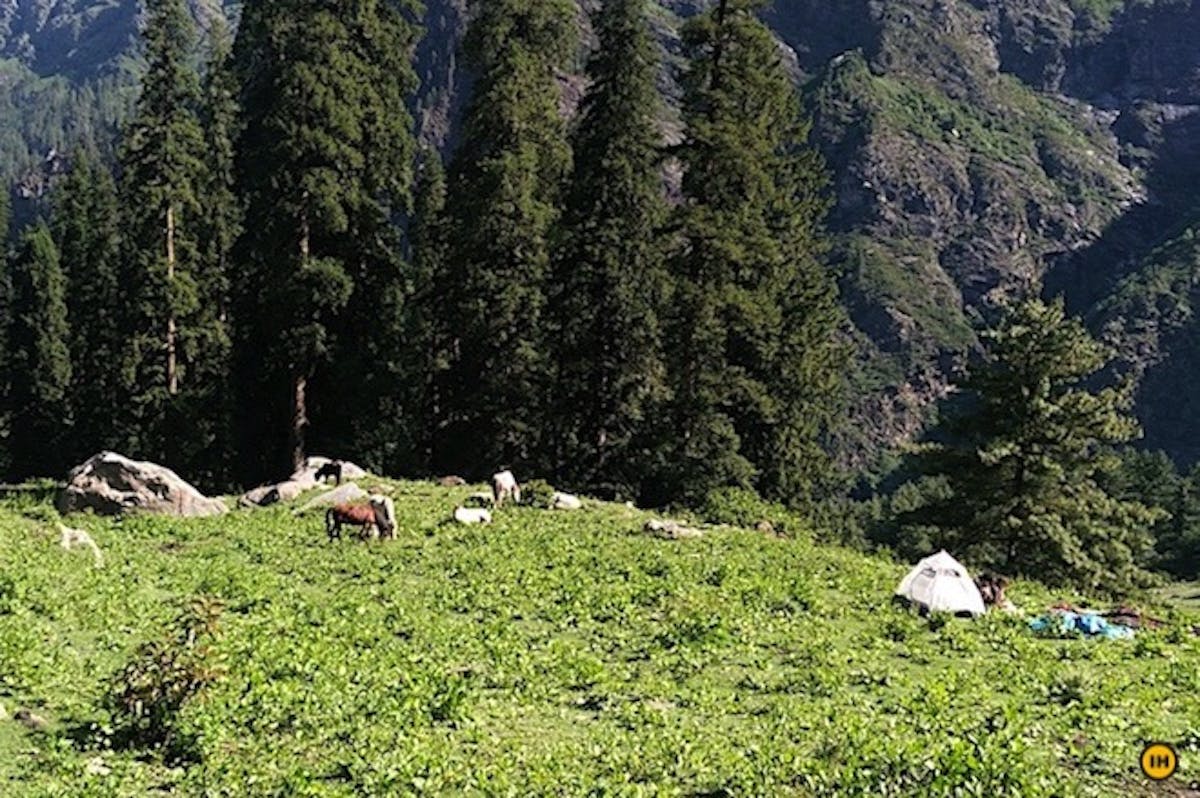 Kheerganga Buni Buni Pass-Treks in Himachal-Indiahikes