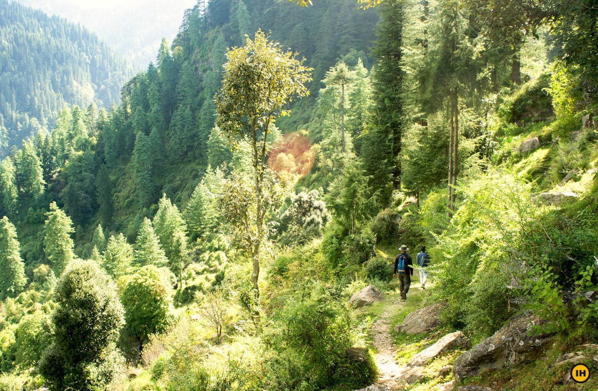 Sainj Valley Trek 