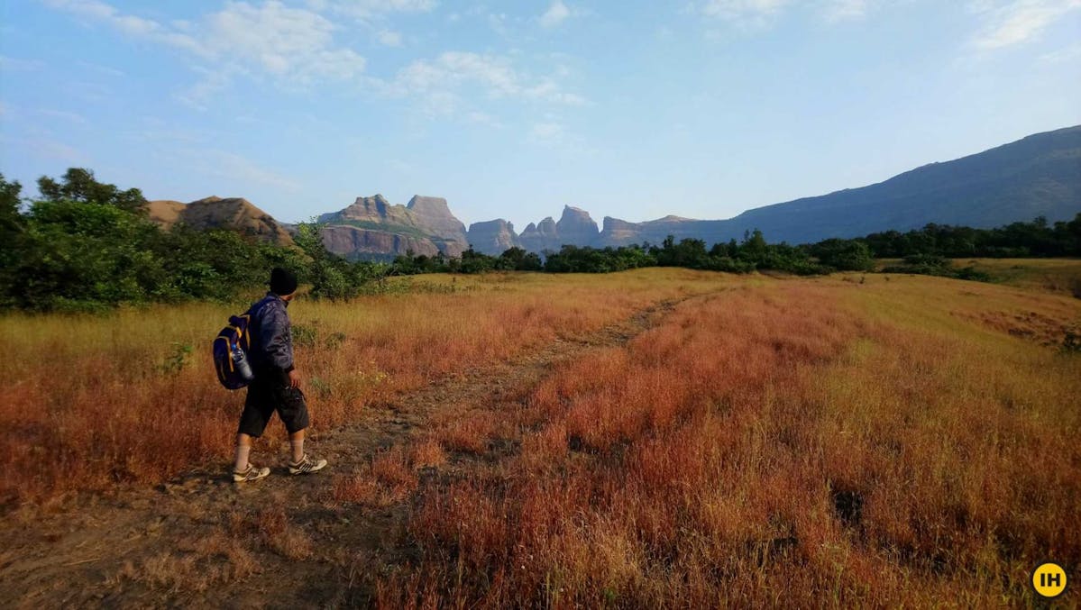AMK Trek - A trekker walks between the different shades of grass with Kulang, Madan and Alang forts seen from afar (from left to right) - Indiahikes - Nitesh Kumar