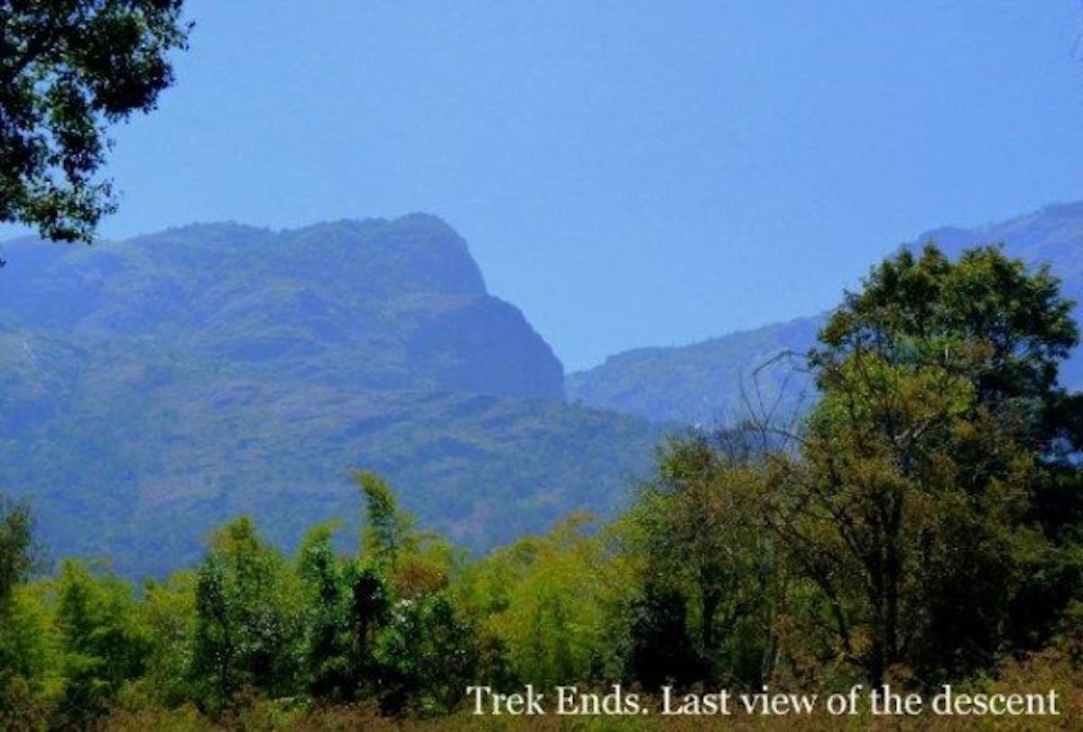 Ooty-trek-end-indiahikes-archives