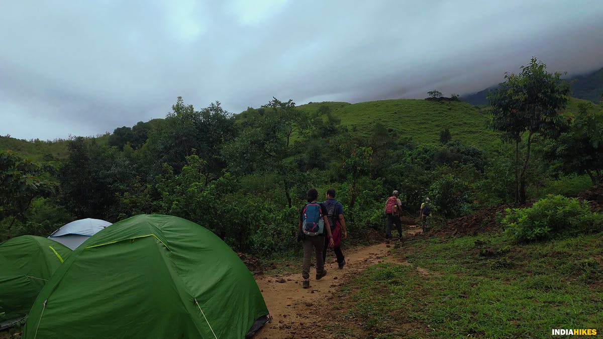 Camping spcae, Kumara Parvatha, Indiahikes, Western Ghats treks, Karnataka treks, treks in Karnataka, most difficult trek in the western ghats of Karnataka