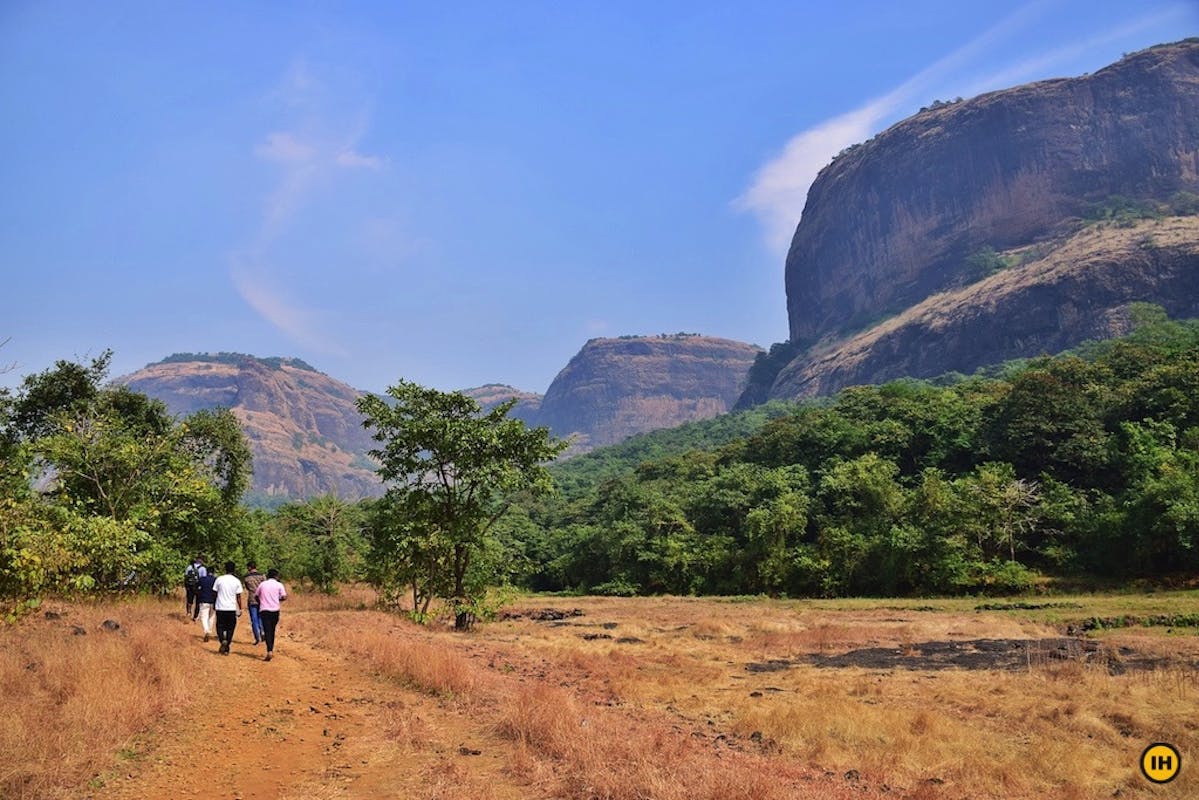 Open meadows during the first half of the trek PC: Apoorva Karlekar