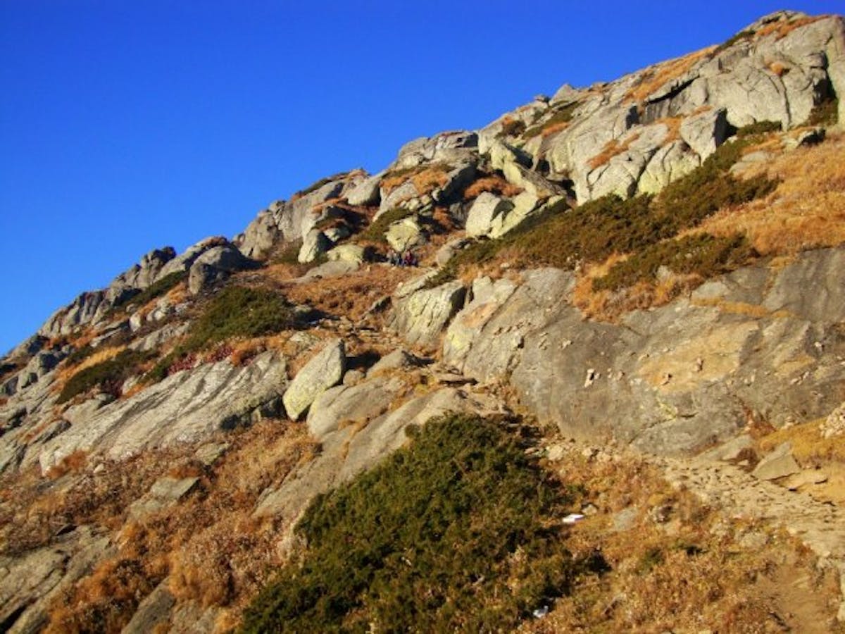 On way to Churdhar Summit, Picture Credit : Risky Pathak