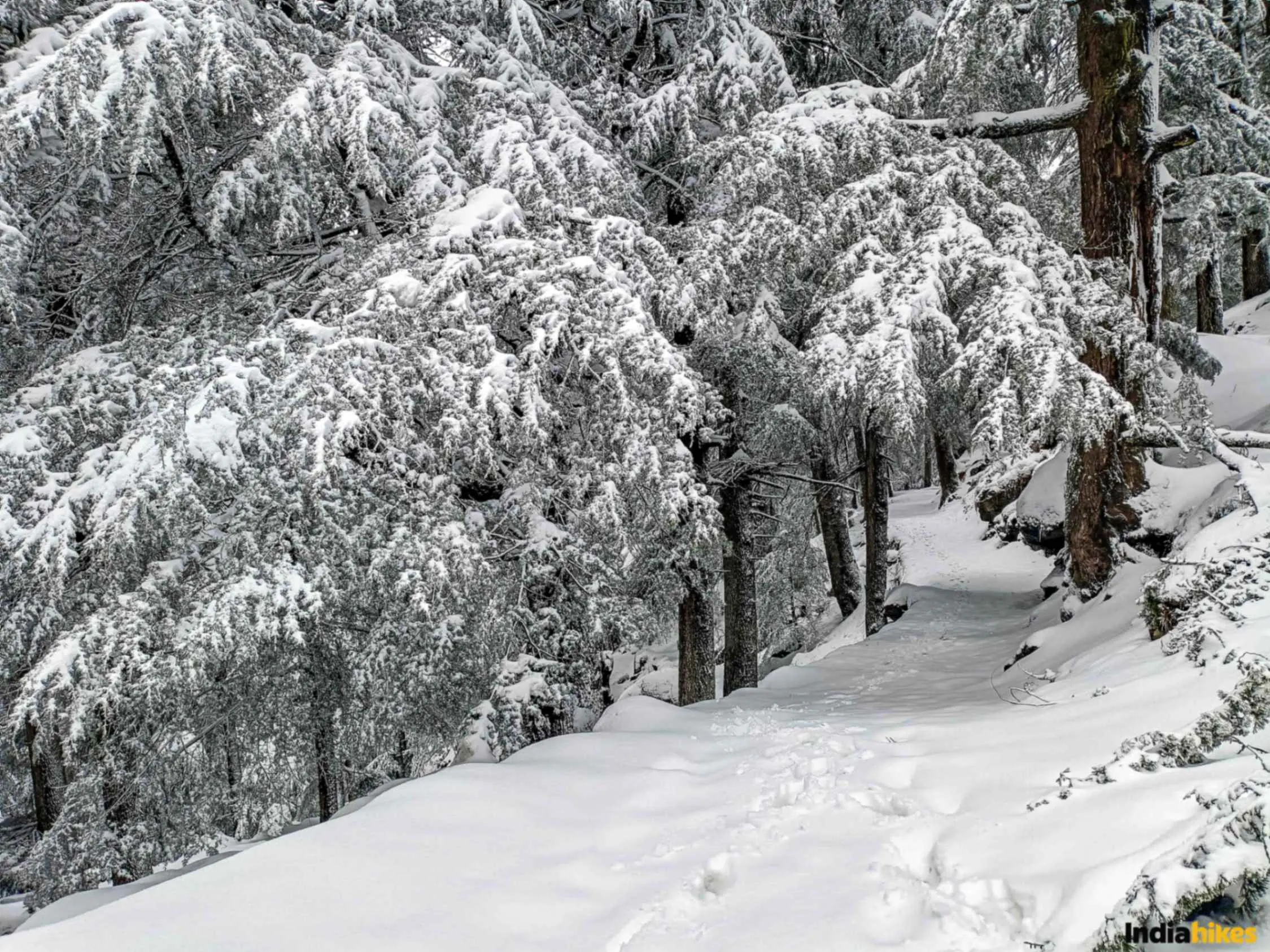 Bijli Mahadev Trek #5