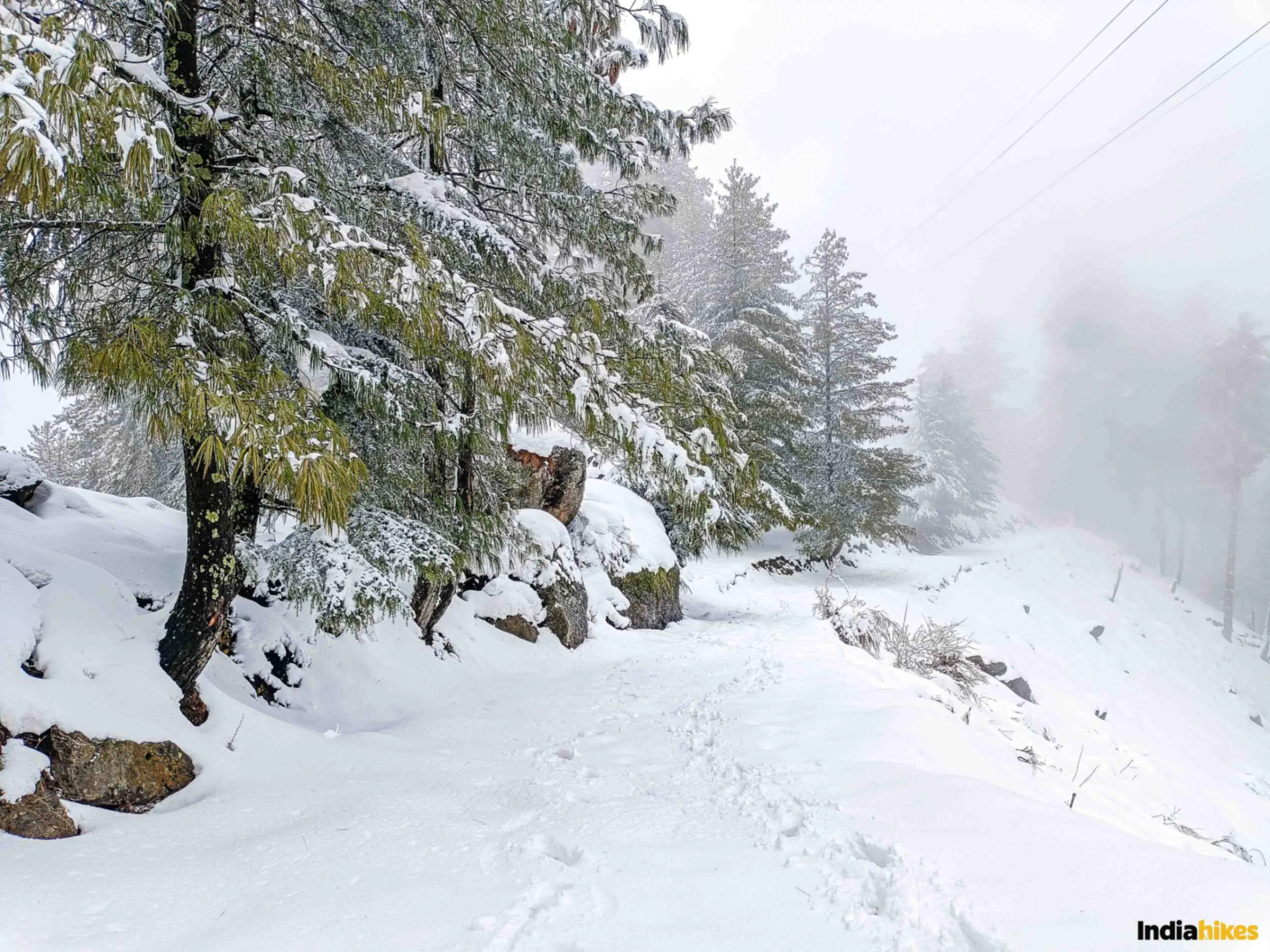 Bijli Mahadev Trek #4