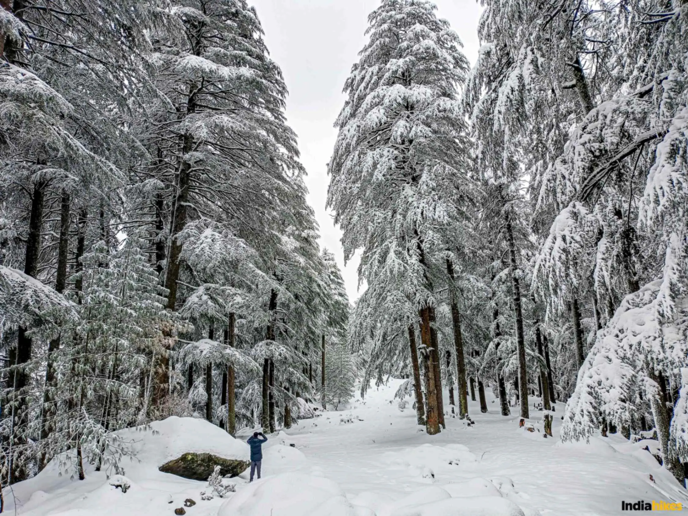 Bijli Mahadev Trek #2