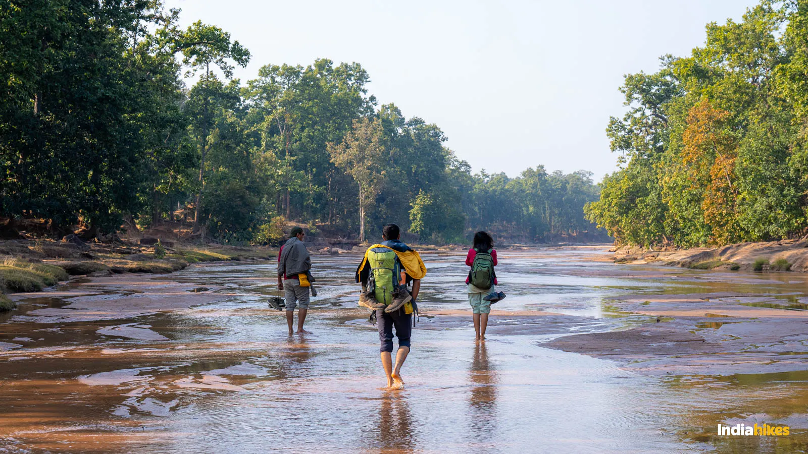 Chhattisgarh Jungle Trek #3