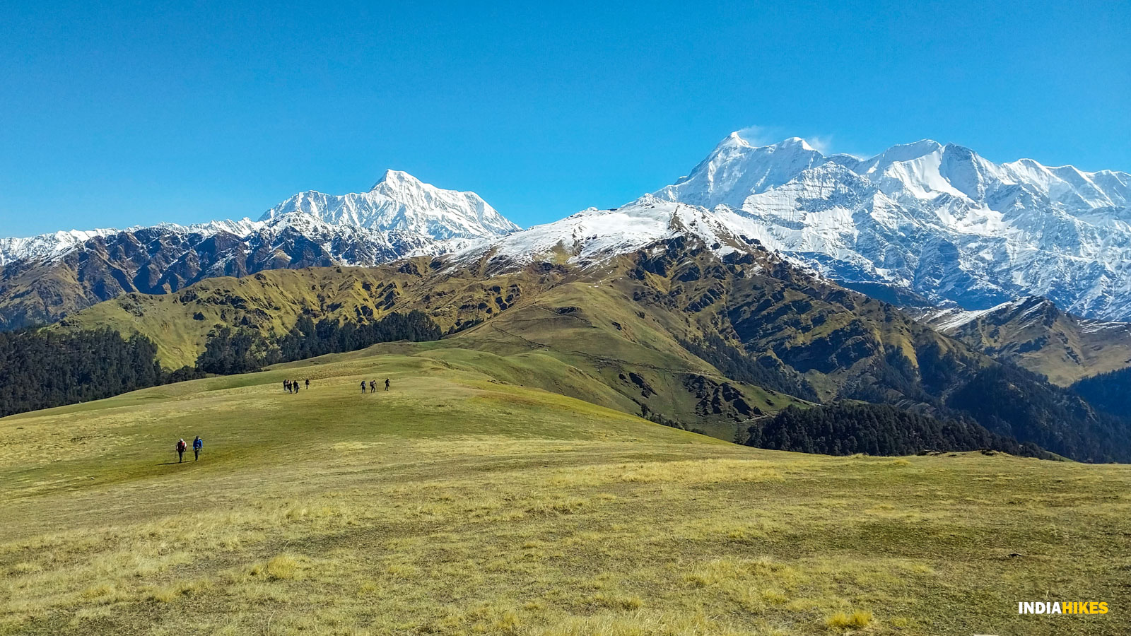 Ali Bedni Bugyal Trek 