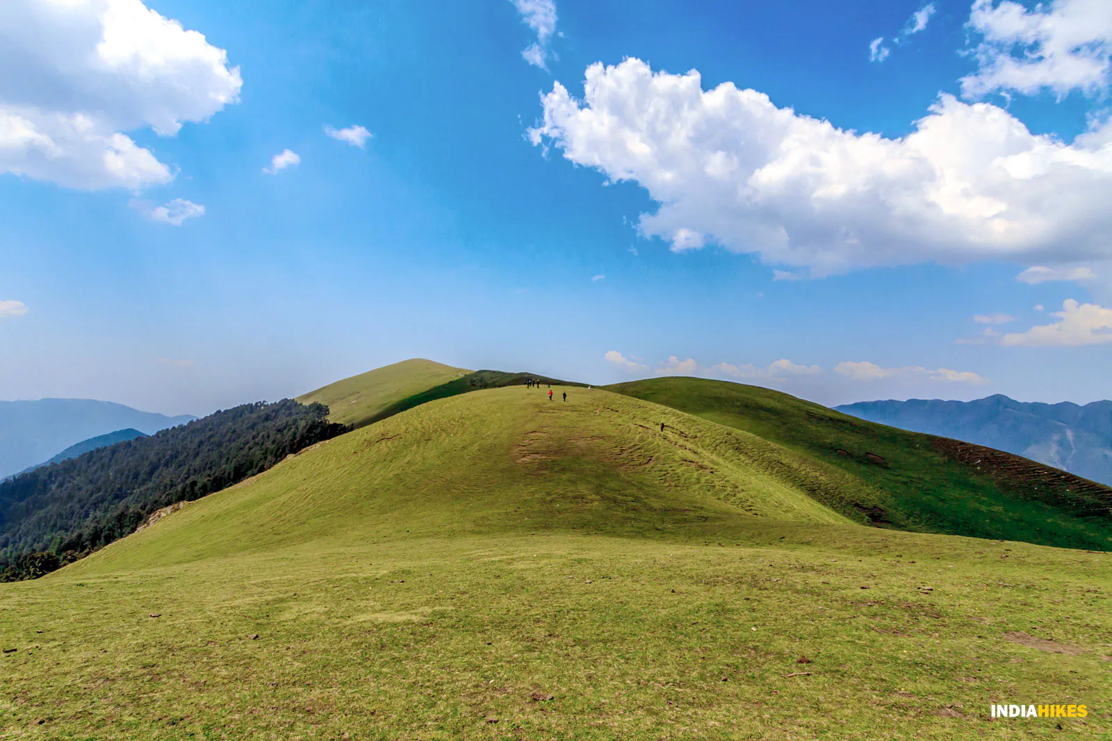 Ali Bedni Bugyal Trek #2