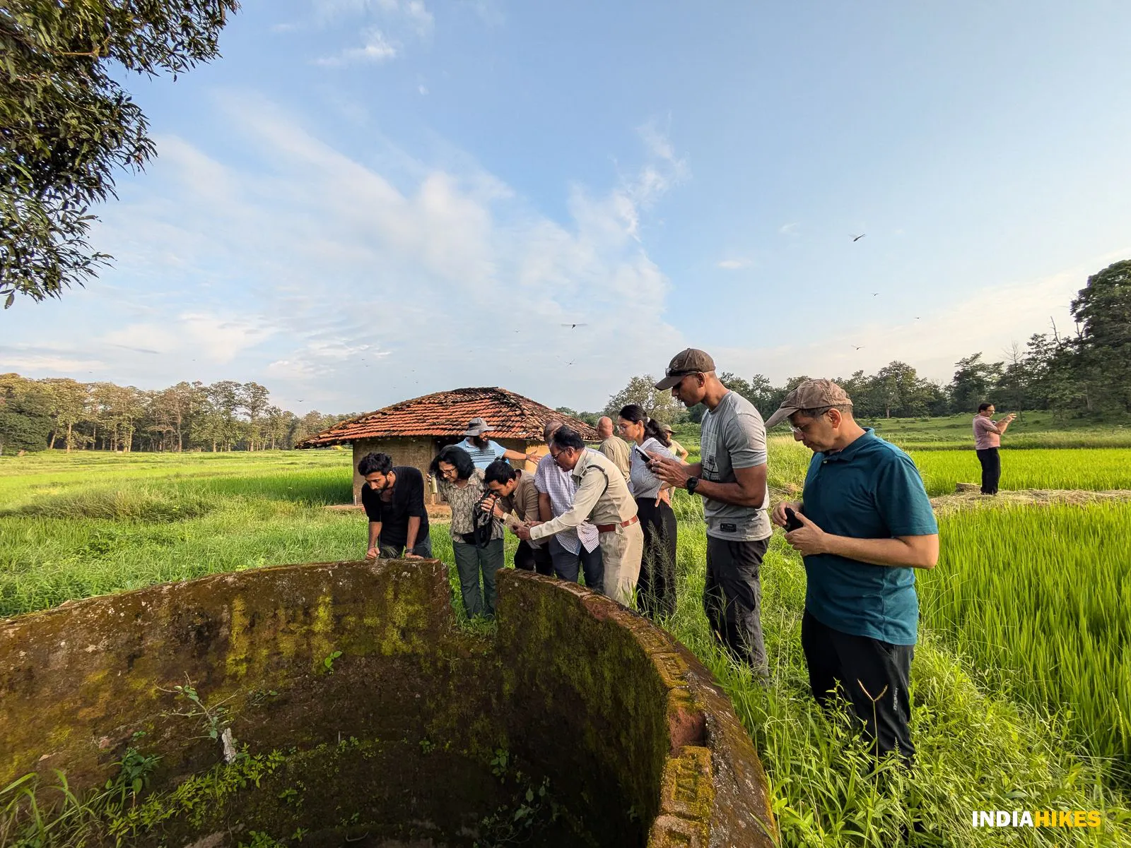 Pench Tiger Trail #3