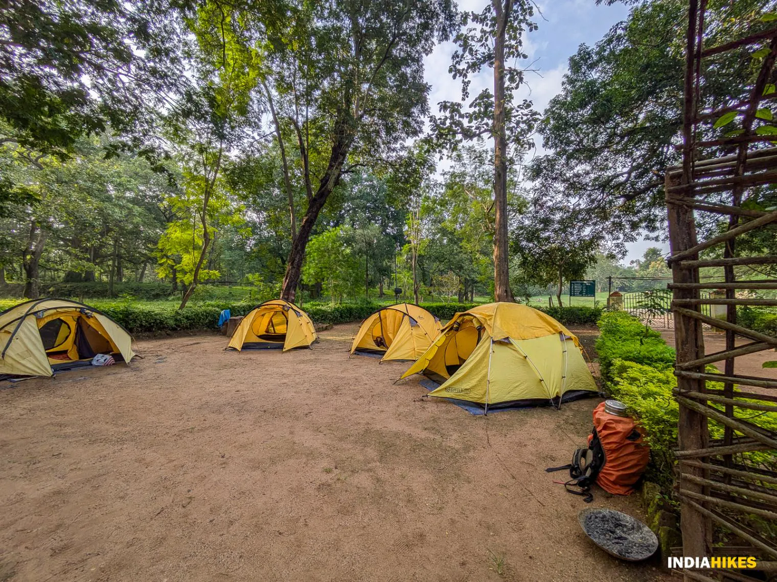 Pench Tiger Trail #5