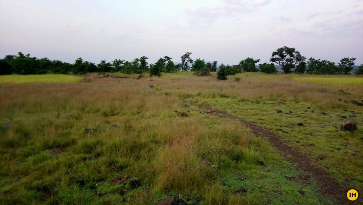 AMK Trek - The farmlands and a flat ground provide much needed respite from the rolling terrain - Indiahikes - Nitesh Kumar
