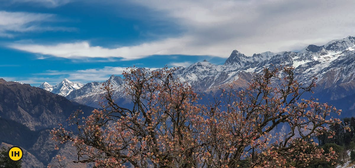 Himalayan treks indiahikes dayara bugyal easy-moderate treks beginner treks spring treks