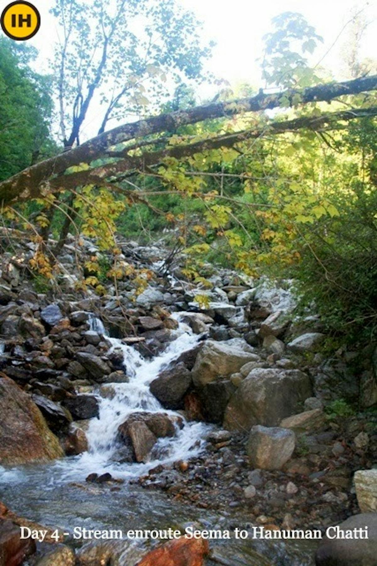 dodital-yamunotri-indiahikes-archives