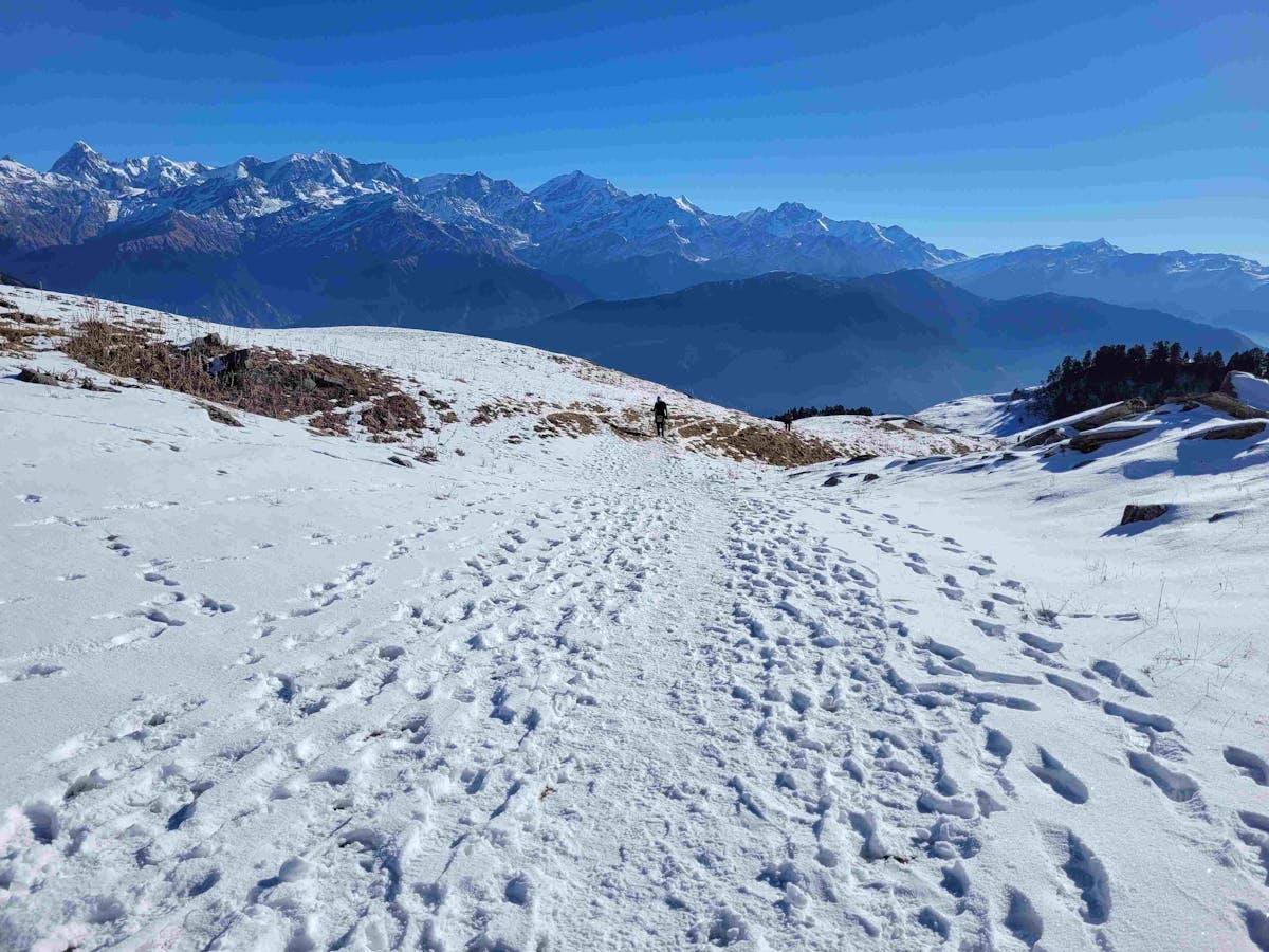 A winter scene of Dayara Bugyal, with freshly laid footprints on the snowy terrain and stunning views of the Himalayan peaks in the background. 
