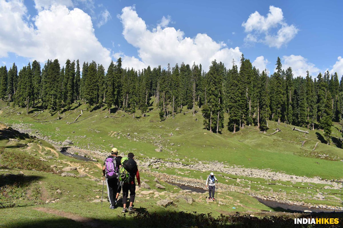 Clearing One - Danizab Trek - Indiahikes - SaliyahAhmad