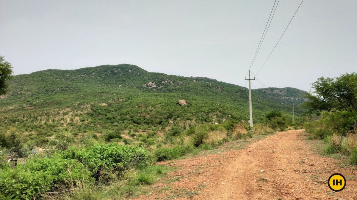 Halu-Chilume-Gange-Trek-Trail to the left-Indiahikes-Saurabh Sawant