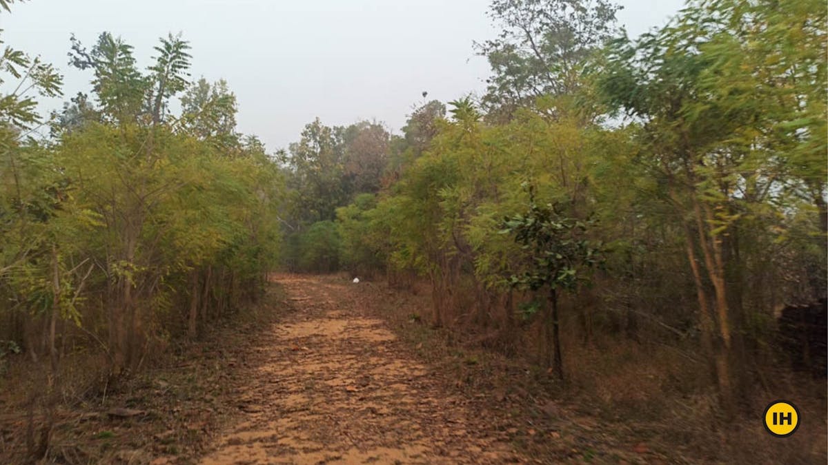 Sanjay-Dubri-Tiger-Reserve-trek-The-Pleasant-Walk-from-Jamdhar-gate-Indiahikes-Saurabh-Sawant