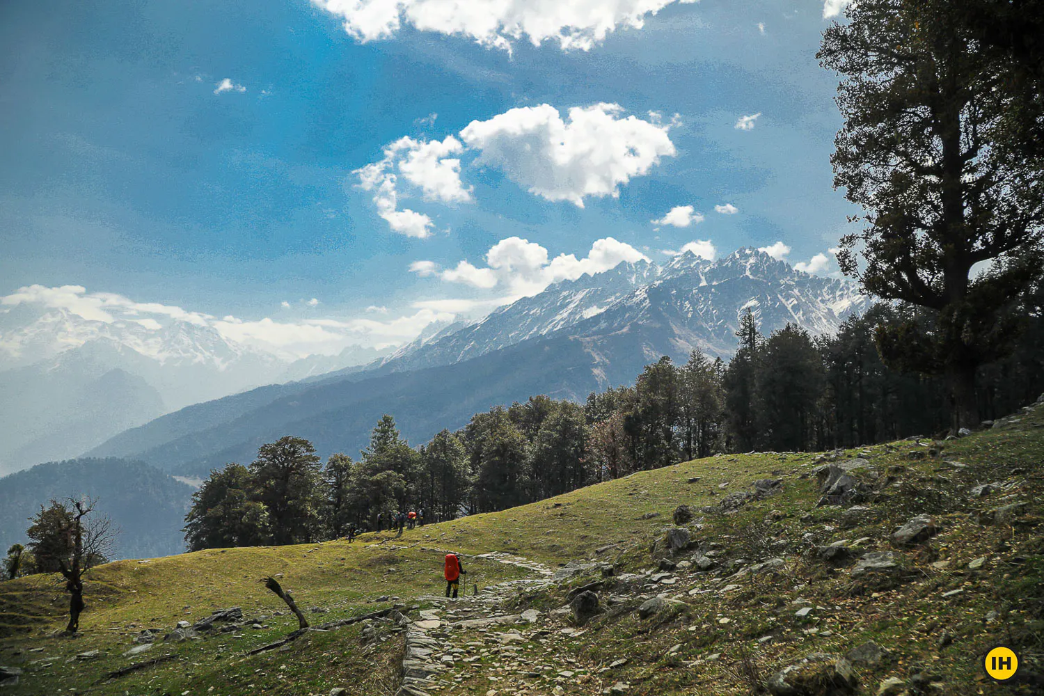 Pangarchulla Peak Trek #3
