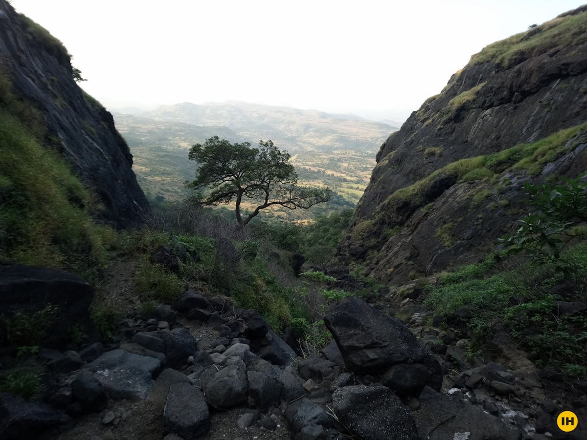 AMK Trek - The descent filled with rocks and boulders in the forest - Indiahikes - Nitesh Kumar