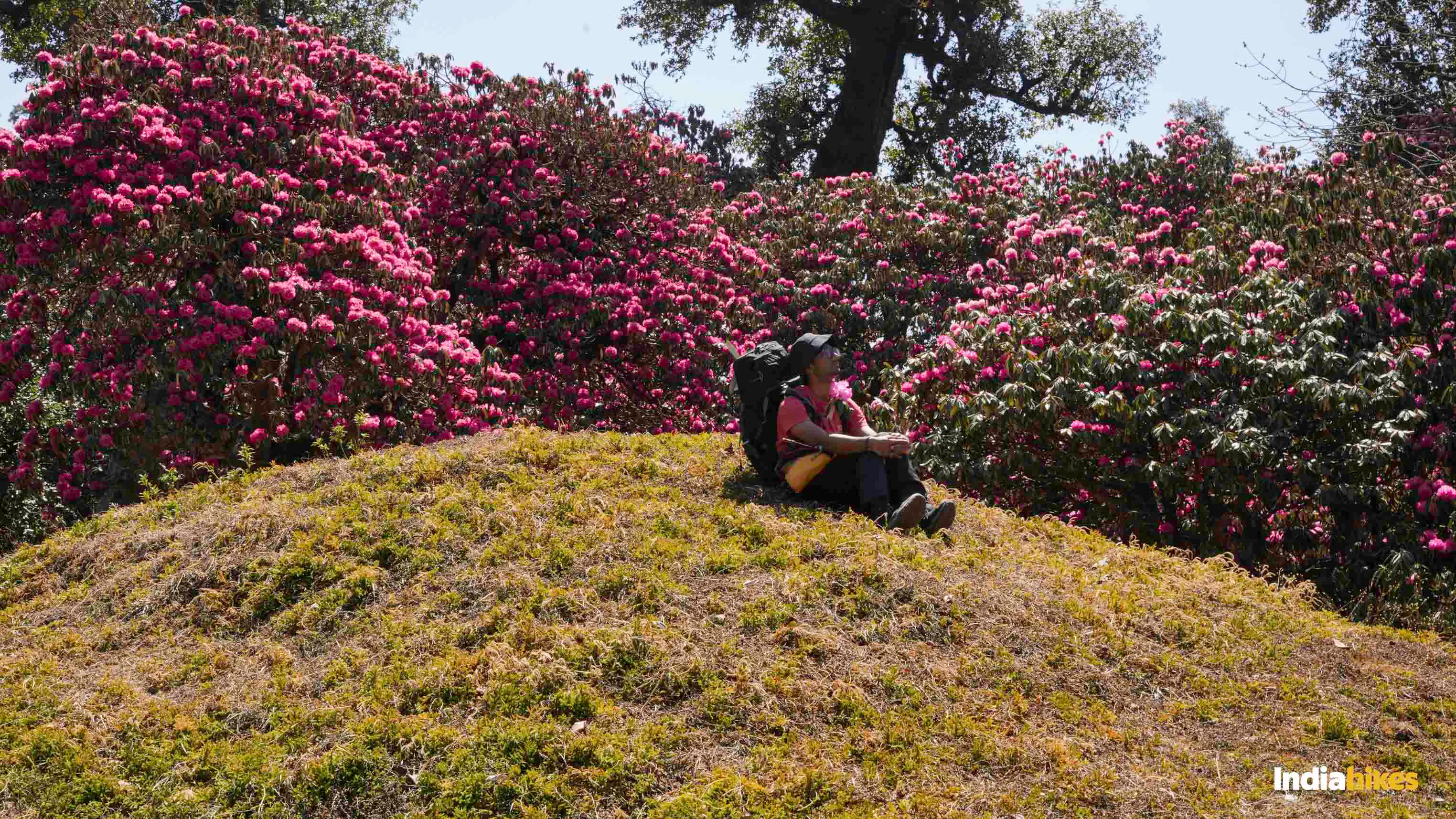 Ranthan Kharak Trek #5