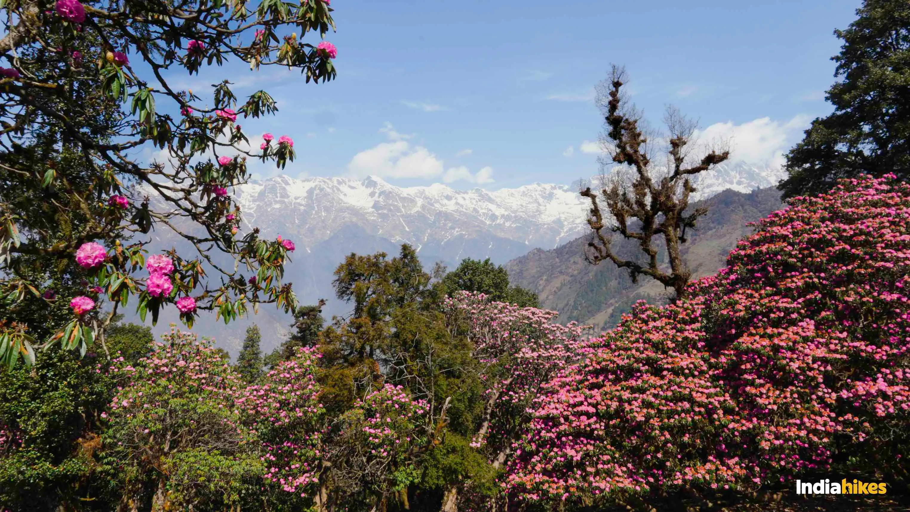 Ranthan Kharak Trek #2