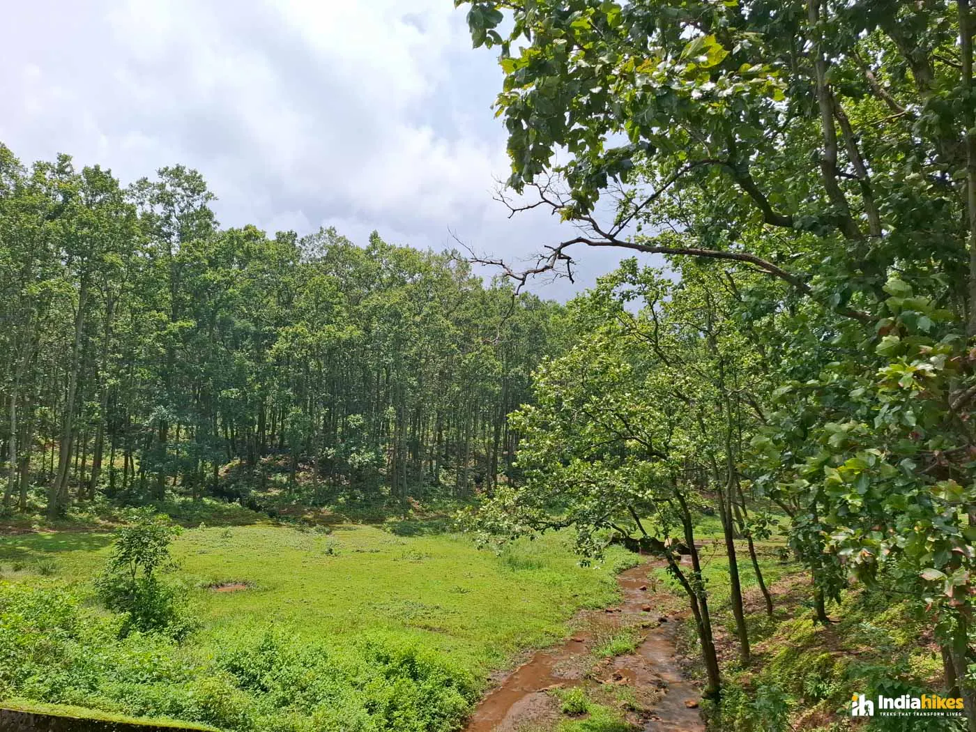 Amarkantak River Trail #4