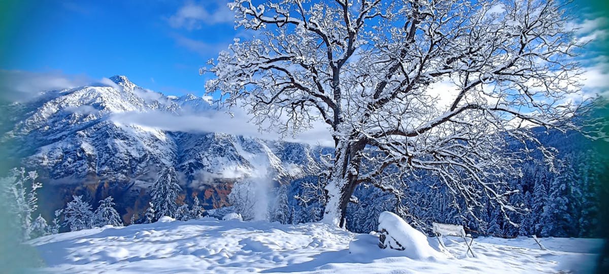 Mt Neelkanth - Kuari Pass - Neeraj Bisht - Treks in Uttarakhand - Mountains of Uttarakhand - Indiahikes - "Keyword"
"kuari pass temperature"
"kuari pass height"
"kuari pass trek distance"
"kuari pass trek difficulty"
"kuari pass indiahikes"
"kuari pass trek price"
"joshimath to kuari pass" "Keyword"
"kuari pass height"
"kuari pass temperature"
"kuari pass trek distance"
"kuari pass trek difficulty"
"kuari pass trek map"
"kuari pass indiahikes" "Keyword"
"kuari pass"
"kuari pass temperature"
"kuari pass height"
"kuari pass trek map"
"kuari pass trek package"
"kuari pass trek the himalayas"
"kuari pass trek blog"
"kuari pass trek route"
"kuari pass trek wikipedia"
"kuari pass location"
"winter kuari pass trek"
"tth kuari pass"
"joshimath to kuari pass"
"kedarkantha trek vs kuari pass trek"
"rishikesh to kuari pass distance"
"kuari pass trek" "Keyword"
"neelkanth mountain story"
"neelkanth peak trek"
"rishikesh to neelkanth by foot"
"badrinath to neelkanth distance"
"neelkanth mountain rishikesh"
"neelkanth trek distance"