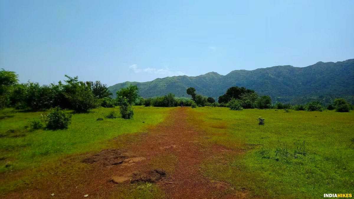 Initail trail, Rajgad Fort,Treks near Pune, Sahyadri treks, Trekking in Maharashtra, Indiahikes