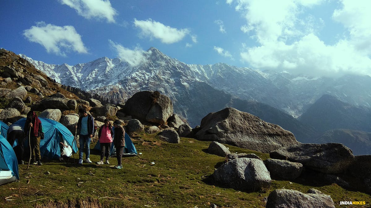 Dhauladhars, Triund trek, Indiahikes, Treks in Himachal Pradesh, Himachal Treks